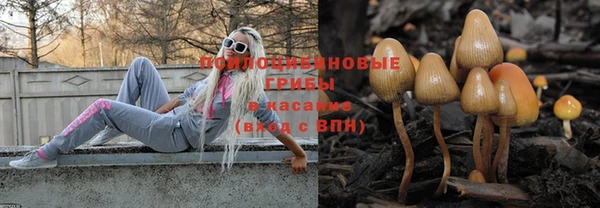 твердый Богородицк