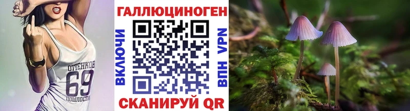 Псилоцибиновые грибы мицелий купить наркотик Кстово