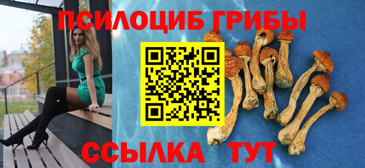 Галлюциногенные грибы Psilocybine cubensis  Вход с VPN  Кстово 